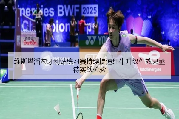 维斯塔潘匈牙利站练习赛持续提速红牛升级件效果亟待实战检验